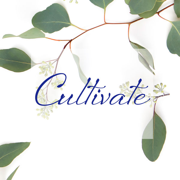 Cultivate